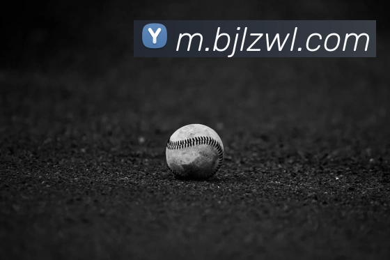 百家乐网站服务体系